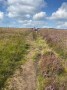 Up Bingley Moor Up Bingley Moor