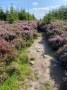 Rombolds moor Rombolds moor