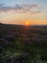 Sunset Sunset