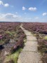 Paving through the Heather Paving through the Heather