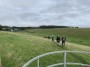 Hills Hills
