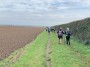 Field Edges Field Edges