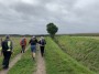 Ditches Ditches