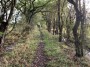 A nice long lane with ditches either side A nice long lane with ditches either side