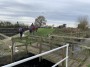 Pollington Lock Pollington Lock