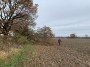 Muddy field tree dodging Muddy field tree dodging