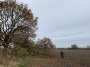 Muddy field tree dodging Muddy field tree dodging
