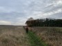 plenty of field edges today plenty of field edges today