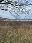 Quarries on Greenholme Bank Quarries on Greenholme Bank