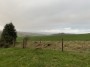 Views to the right Views to the right