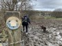 Muddy Muddy