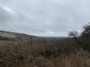 Into the Wolds Into the Wolds