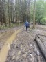 Just a bit of mud today then Just a bit of mud today then