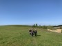 All enjoying fun in the sun All enjoying fun in the sun