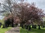 That time of year Blossom is out That time of year Blossom is out