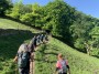Nice path Nice path