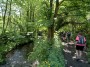 Jungle Jungle