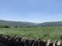 More views More views