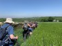 & Fields & Fields