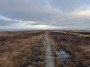 Some lovely paths today