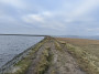 Can you see em, its was ruddy baltic