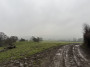 Its going to be one of them days, clagged in and muddy