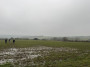 The last field