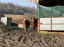 Mrs mooo