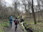 DOWN the Limb Valley