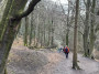 Plenty of woods today