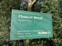 Chancet Wood Chancet Wood
