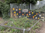 Ann's Community Garden