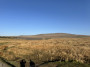 With Whernside in the background With Whernside in the background