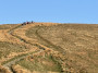 Following the heard today