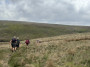 Thurlstone Moor