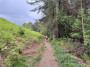 Langsett Forest