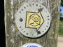 Signed well Signed well
