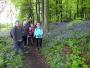03 - Spring bluebells - Wentworth Castle 03 - Spring bluebells - Wentworth Castle