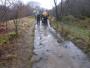 Is it a track or a stream? Is it a track or a stream?