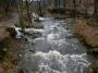 The River Roddlesworth in full flow The River Roddlesworth in full flow