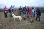 &nbsp;Trig Point - Scout Scar