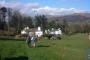 &nbsp;Dales Way approaching Staveley