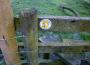 A Witches Walk sign post A Witches Walk sign post