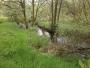 In Longworth Clough In Longworth Clough