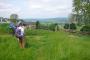 &nbsp;Looking back towards Arthington Viaduct