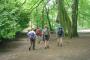 &nbsp;Beech woods in Golden Acre Park
