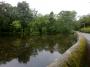 The old mill pond The old mill pond