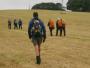 Striding out across newly-cut fields Striding out across newly-cut fields