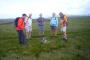 True summit of Baugh Fell - Tarn Rigg Hill&nbsp;