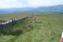 Easy walking on descent from Aye Gill Pike&nbsp;